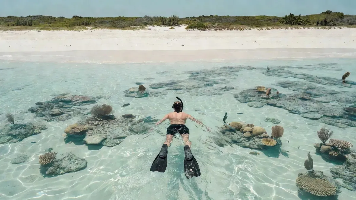 Snorkeler swimming over a shallow reef toward the sandy beach at Tintamarre on a St Maarten snorkeling tour